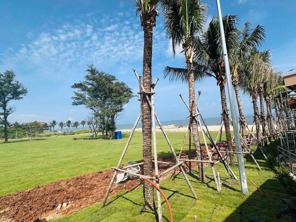 Tiến độ QTopia Phước Hải mới nhất(Cập nhật tháng 10/2026) - 8