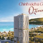 Giá và chính sách Q'Terra