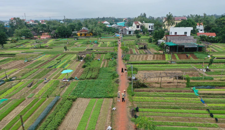 Bắt mạch dòng chảy du lịch Đà Nẵng 2026: Tái định vị nhờ "Một điểm đến - Nhiều trải nghiệm" - 8